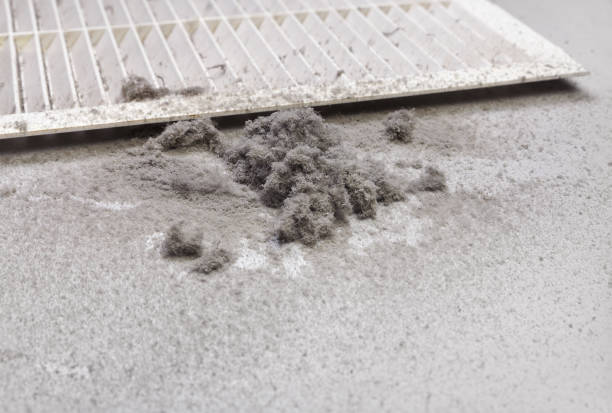 Best HVAC Duct Inspection Services  in Parole, MD