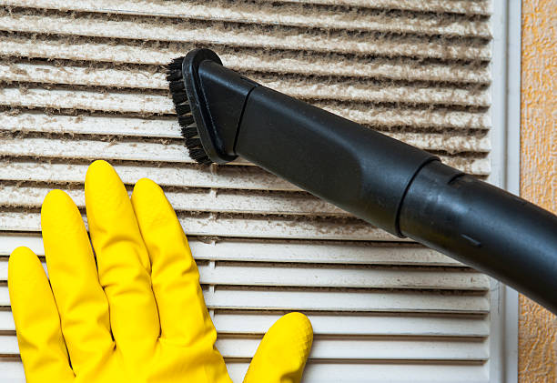 Best Air Duct Mold Removal  in Parole, MD
